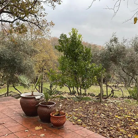 Apartman Casa Parvathi