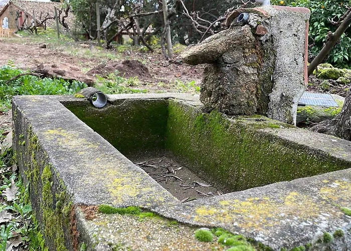 Casa Parvathi 아파트